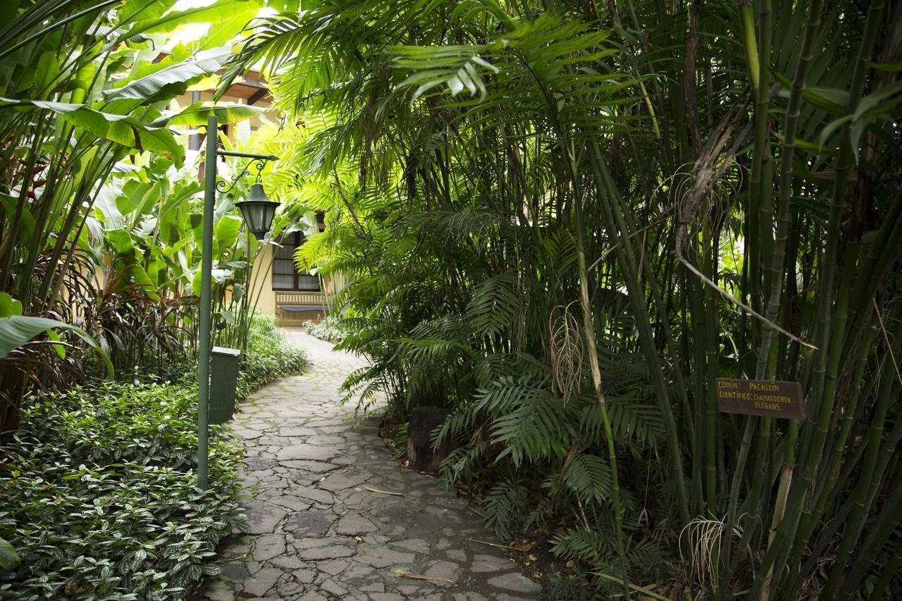 Hotel Las Farolas Antigua Kültér fotó